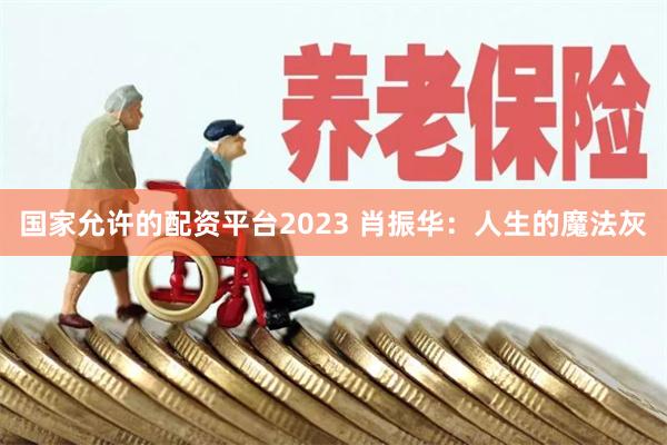 国家允许的配资平台2023 肖振华：人生的魔法灰