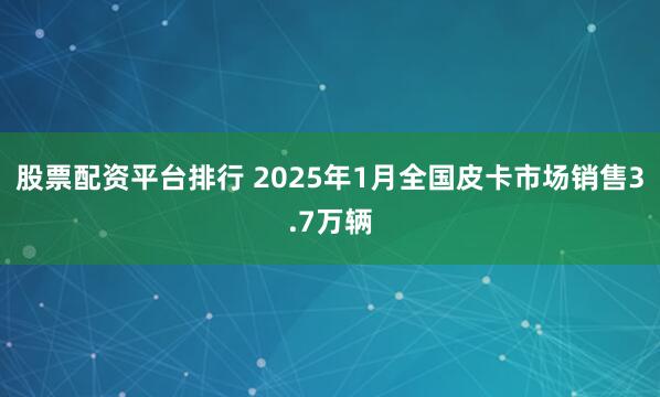 股票配资平台排行 2025年1月全国皮卡市场销售3.7万辆