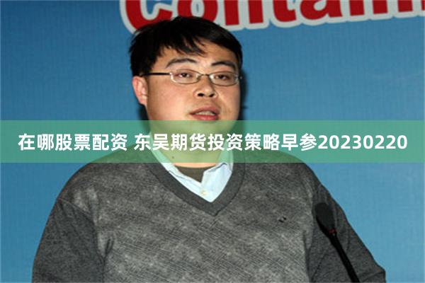 在哪股票配资 东吴期货投资策略早参20230220