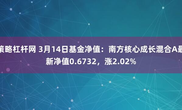 策略杠杆网 3月14日基金净值：南方核心成长混合A最新净值0.6732，涨2.02%